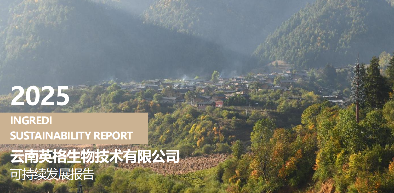 可持续发展报告-2025年_01(1).png